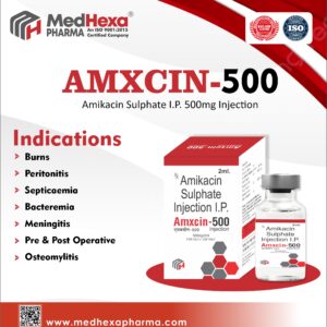 AMXCIN-500