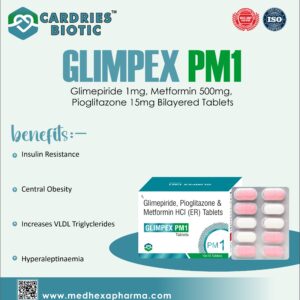 GLIMPEX PM1