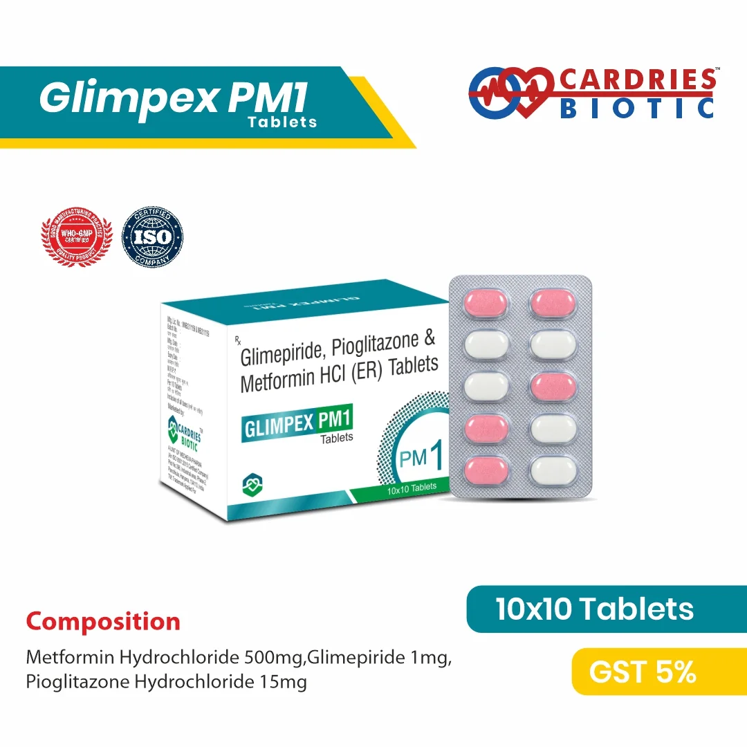 GLIMPEX PM1 - Image 2