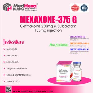 MEXAXONE-375 GM
