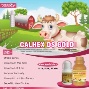 CALHEX DS GOLD 20L